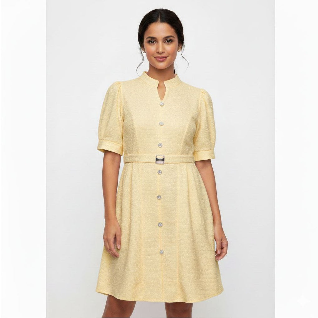 Chic Tweed-Style Button-Front Dress with Mandarin Collar & Buckle Belt